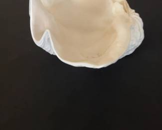 Large Natural Giant Clam Shell Decorative Bowl