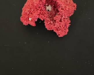Red Pipe Organ Coral