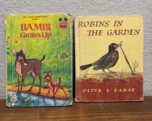 Vintage Children's Books Lot | Walt Disney Bambi Grows Up & Robins in the Garden | Hardcover Books
