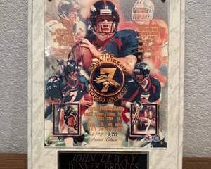 John Elway | Limited Edition Framed Career Tribute Display #2993/7777 | Denver Broncos | Hall of Fame