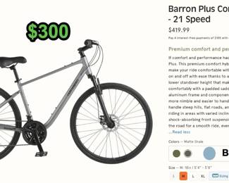 Hybrid Bike
