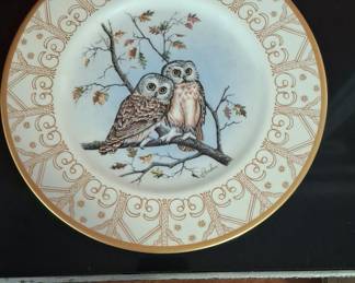 Edward Marshall Boehm Owl Plate Collection - Saw-whet Owl