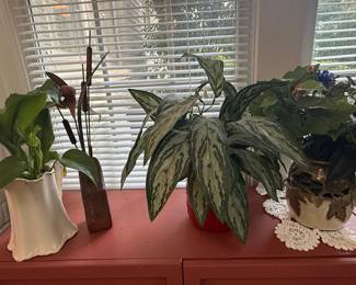 Aglaonema 'Silver Bay' Plant in Red Ceramic Pot, Pothos in Cream Ruffled Vase, Cattails, and Decorative Vase
