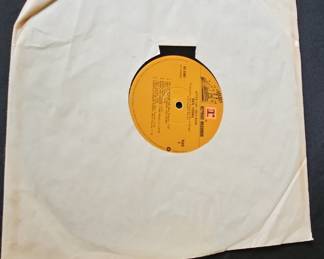 Neil Young After The Gold Rush LP - Reprise Records RSL 6383
