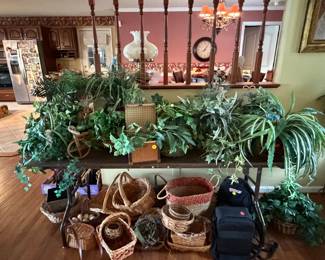 Plants