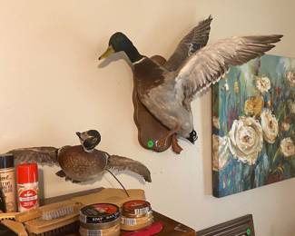 Duck in flight