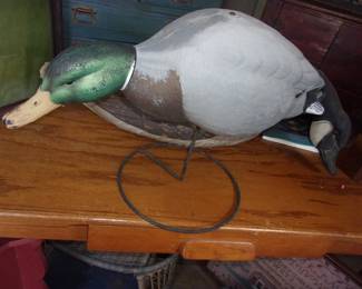 DUCKS UNLIMITED Duck