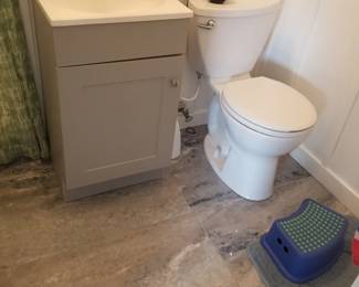 Petite vanity; toilet