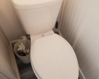 Dual flush toilet