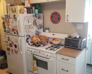 Ikea kitchen cabinetry. Refrigerator mfg. 11/2013