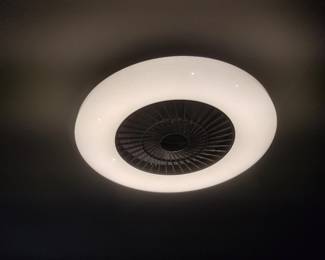 Reality Light XL Haimstadt ceiling fan with starlight effect LED light and integrated blades