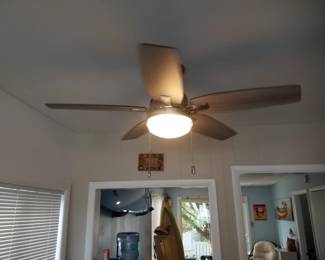 Ligted ceiling fan