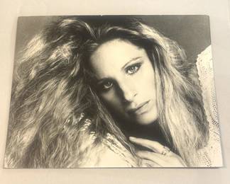 088 Rank 088 Lot 595h Vintage Francesco Scavullo gelatin photograph