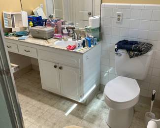 toilet seat covers paintings makeup toiletries mirror