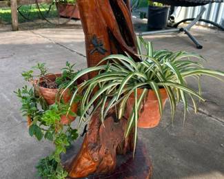 Cypress log Pot Hanger / Holder Comes with plants. Can hold one more pot. 
