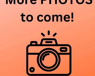 morepicturesto come