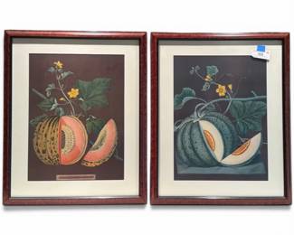 Botanical framed prints