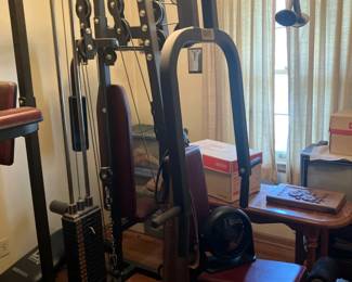 Hoist fitness system
