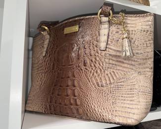 Brahmin 