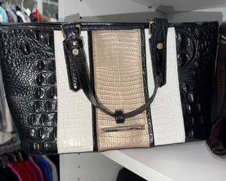 Brahmin 