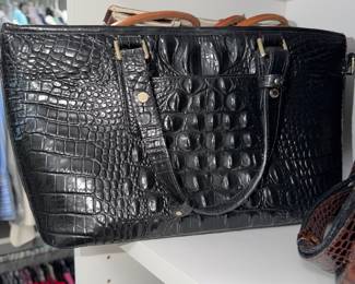 Brahmin 