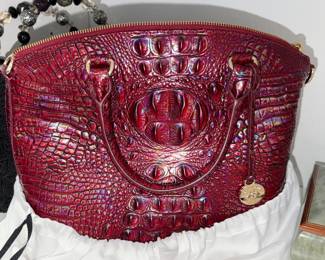Brahmin 