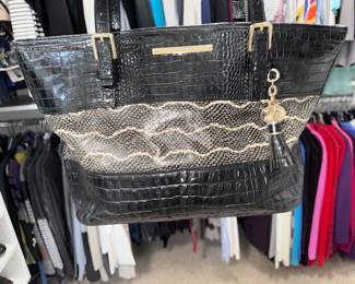 Brahmin 