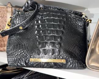Brahmin 