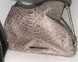 Brahmin 