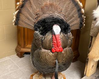 Turkey Mount