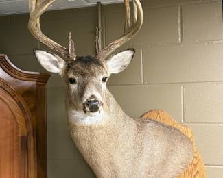 Buck Mount