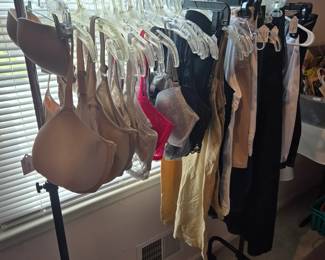 Lingerie and shapewear