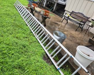 The ladder for Jack, climbing the bean stalk!