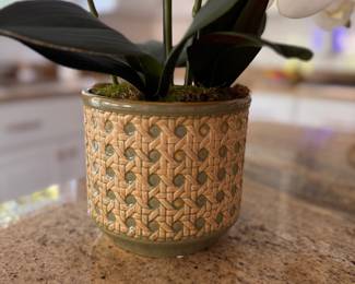 Faux Orchid in Faux Cane Cachepot. Photo 2 of 2.