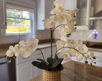 Faux Orchid in Faux Cane Cachepot. Photo 1 of 2.