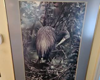 Bird art