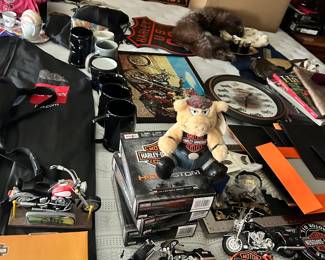 Extensive Harley Davidson collection