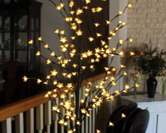 Lighted tree