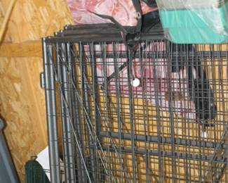 Metal Cage