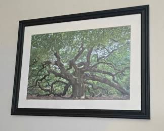 Tree Scene Framed Art Signed