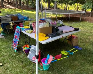 Assorted Outdoor and Household Items - Including Beach Toys, Surfboard, Bicycle, and Golf Accessories