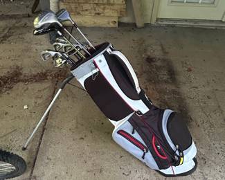 Complete Golf Club Set with Stand Bag