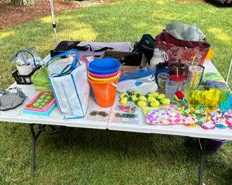 Assorted Outdoor and Household Items - Including Beach Toys, Surfboard, Bicycle, and Golf Accessories