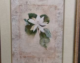 Framed Magnolia Grandiflora Print by Christian Rohlfs