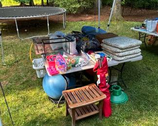 Assorted Outdoor and Household Items - Including Beach Toys, Surfboard, Bicycle, and Golf Accessories