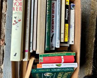 Mystery Box of Books