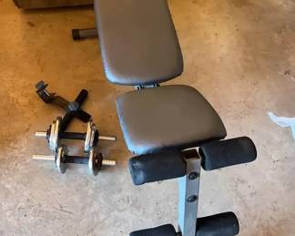 Golds Gym XR 5.9 Bench Weights