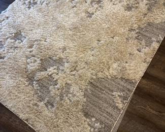 Area Rug