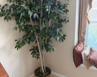 Artificial Ficus Tree in Wicker Basket