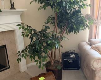 Artificial Ficus Tree